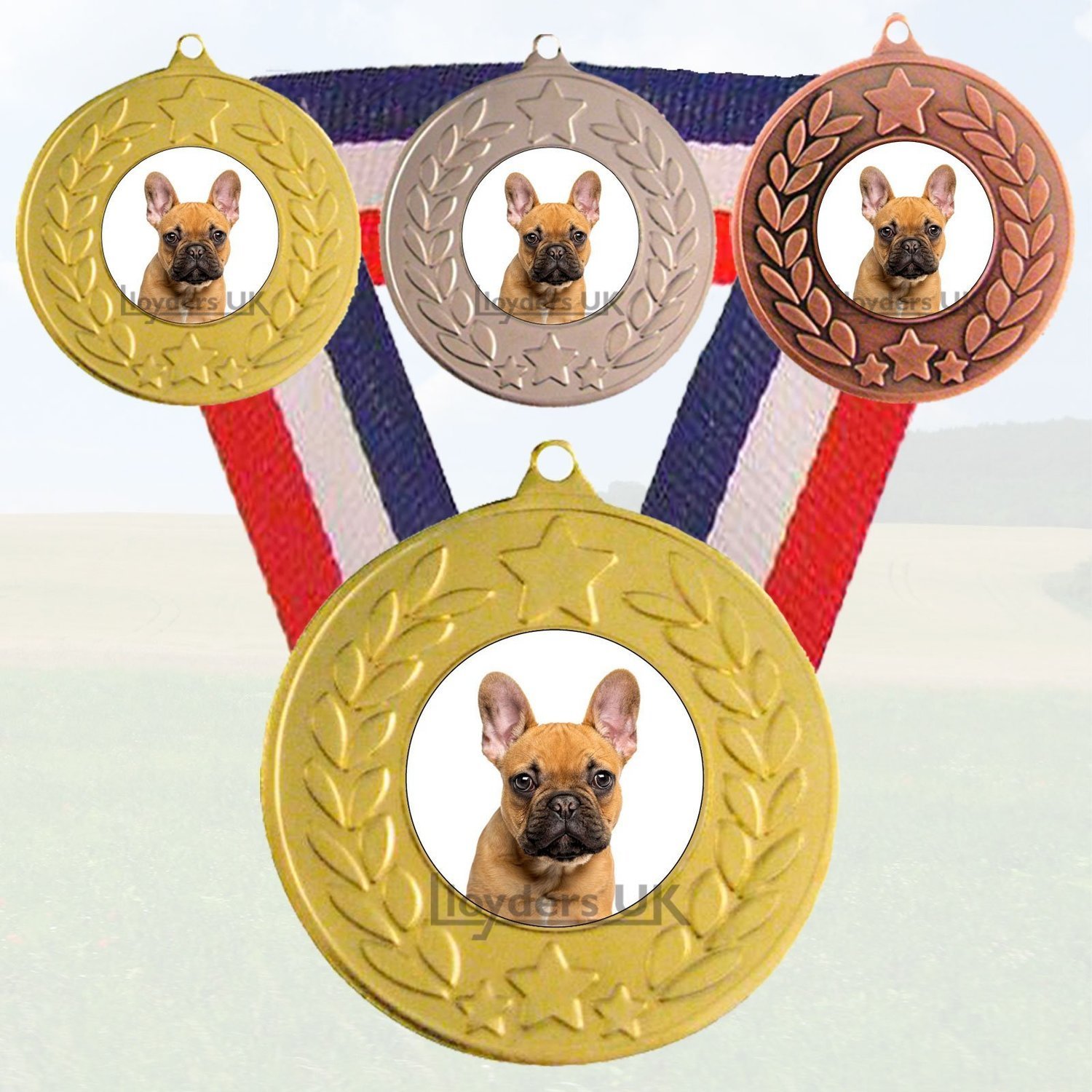 Dog Medal & Ribbon - French Bulldog