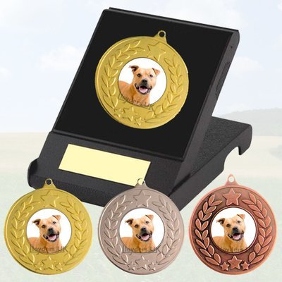 Dog Medal in Presentation Case - Staffy