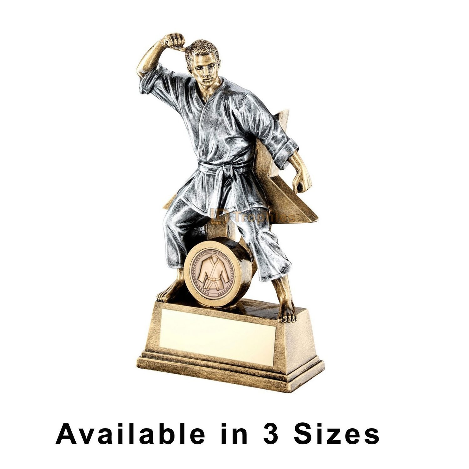 Martial Arts Trophy (Male) - RF185