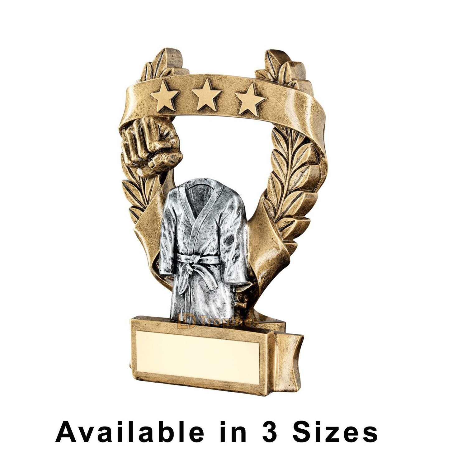 Martial Arts Trophy - RF491