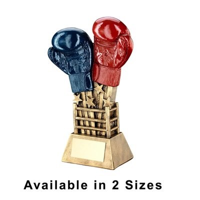 Boxing Trophy - RF640