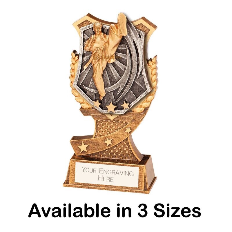 Martial Arts / Karate Trophies Martial Arts / Karate Trophies