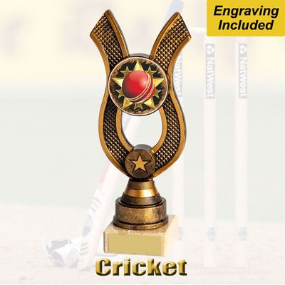 Cricket Trophies with Free Engraving Cricket Trophies with Free Engraving