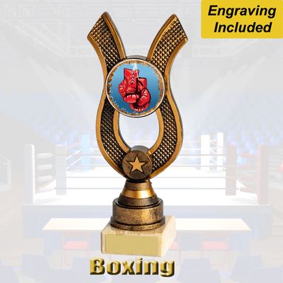 Boxing Trophies - Great Budget Trophies