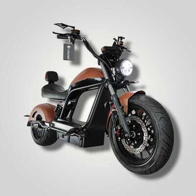 Cafecruiser | Rat rod | Roest Cafecruiser | Rat rod | Roest
