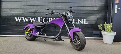 Echopper 2.0 Pruple Suede Echopper 2.0 Pruple Suede