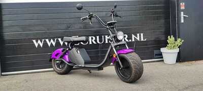 GTS 3.0 Paars GTS 3.0 Paars