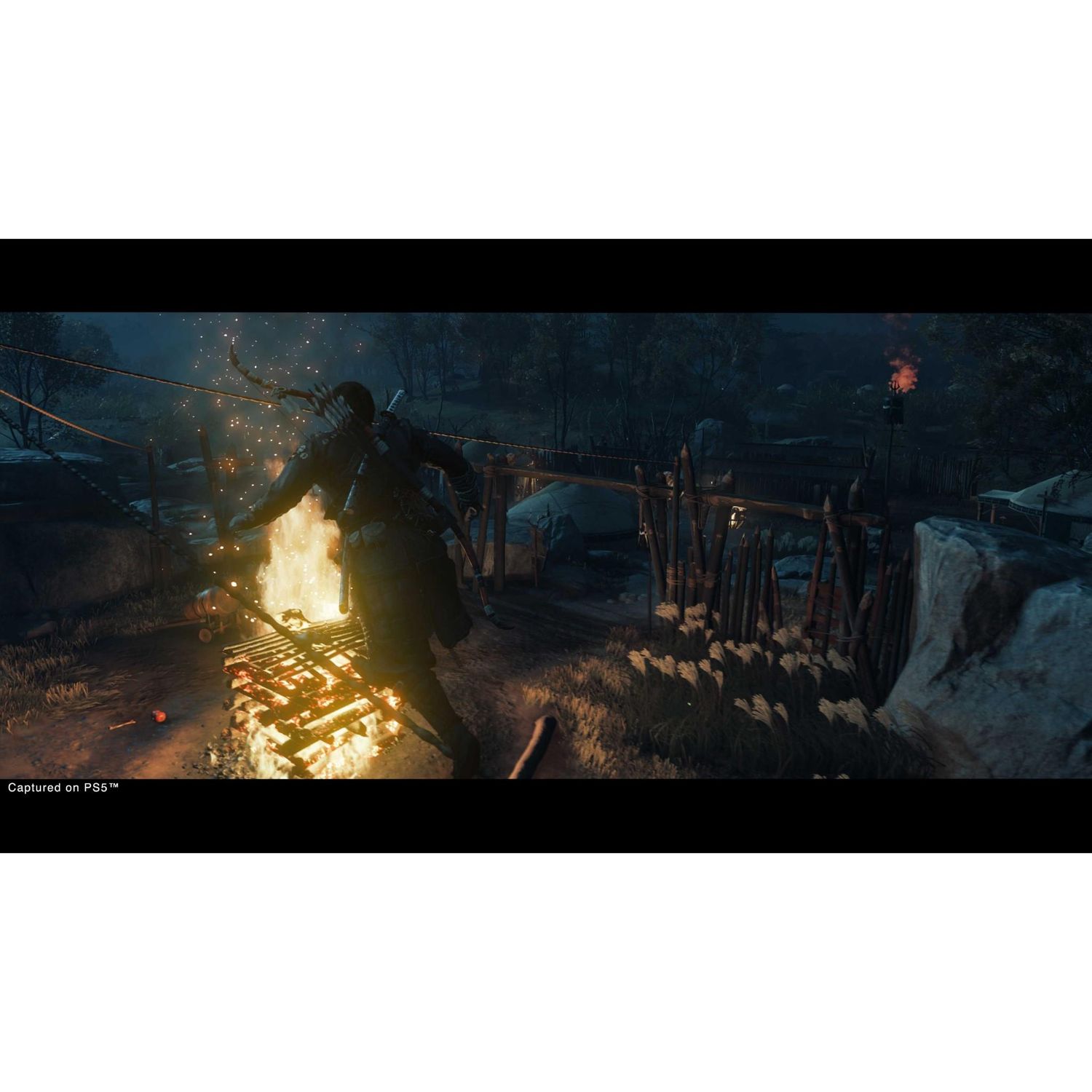 Ghost of Tsushima Director�s Cut