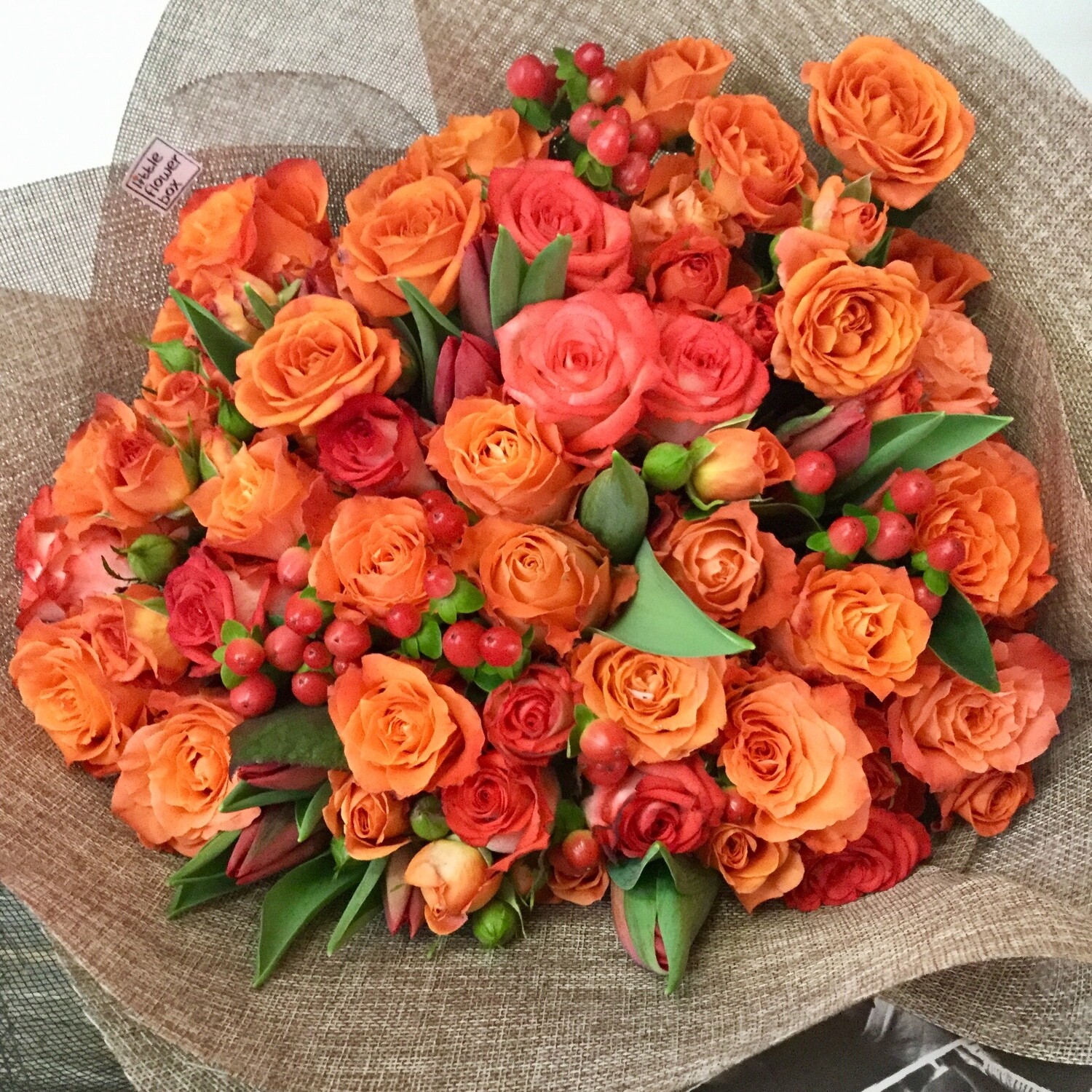 nu aux oranges