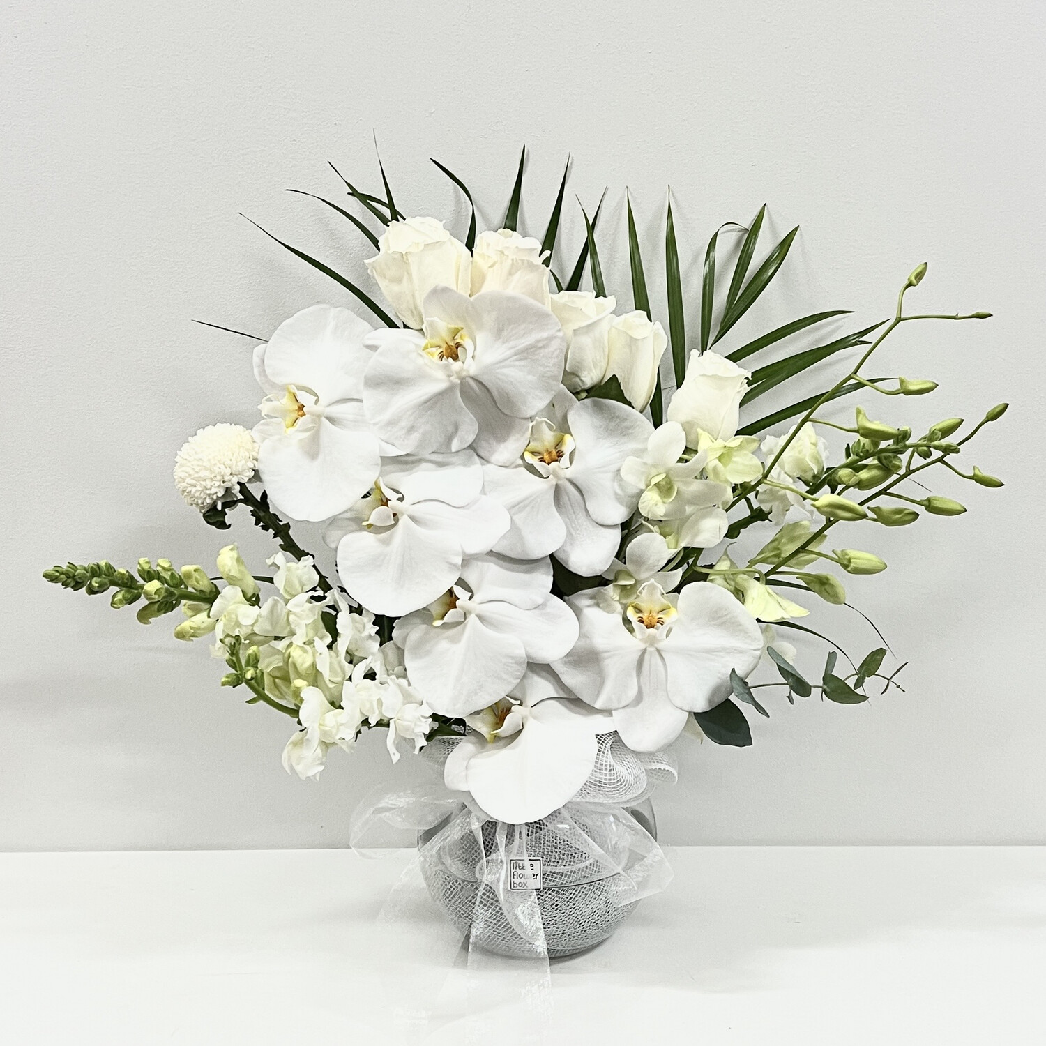 fiori bianchi