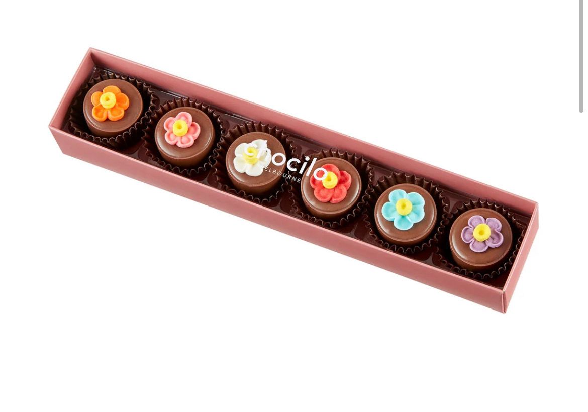 6 Pack Flower Pot Praline Milk Chocolates Gift Box - 75g