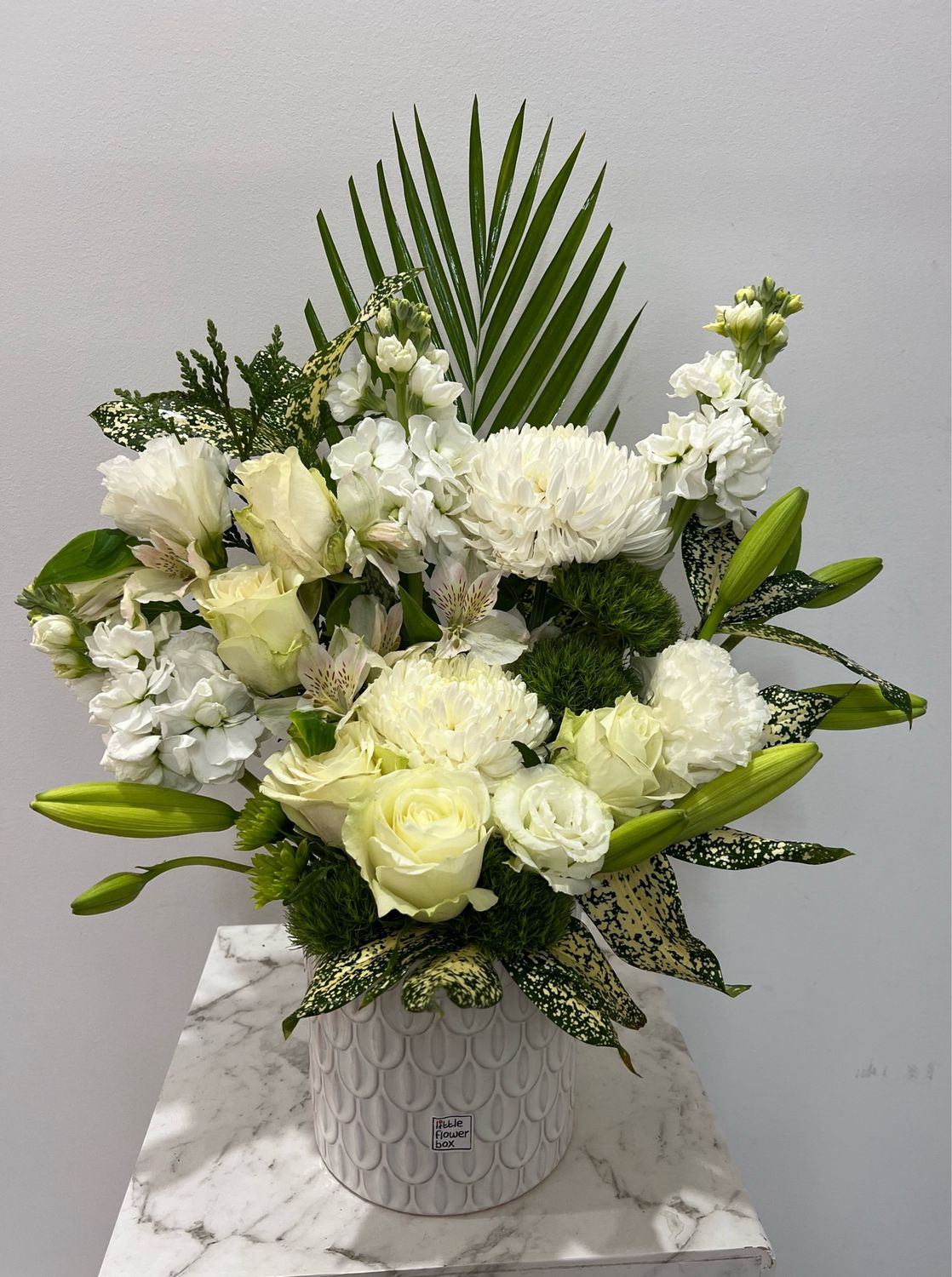 blissful blossoms
