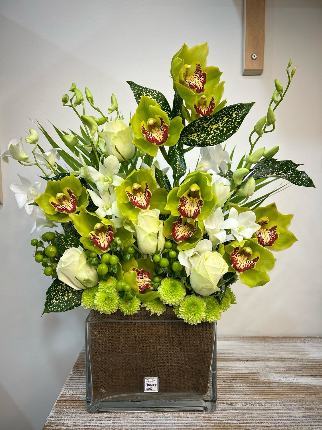 cymbidium delight