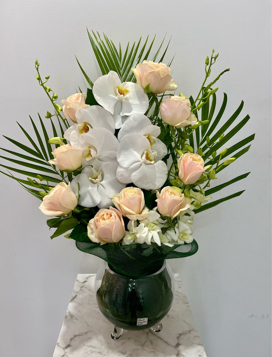 orchid elegance