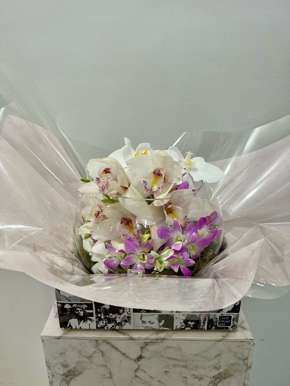beauty of orchids