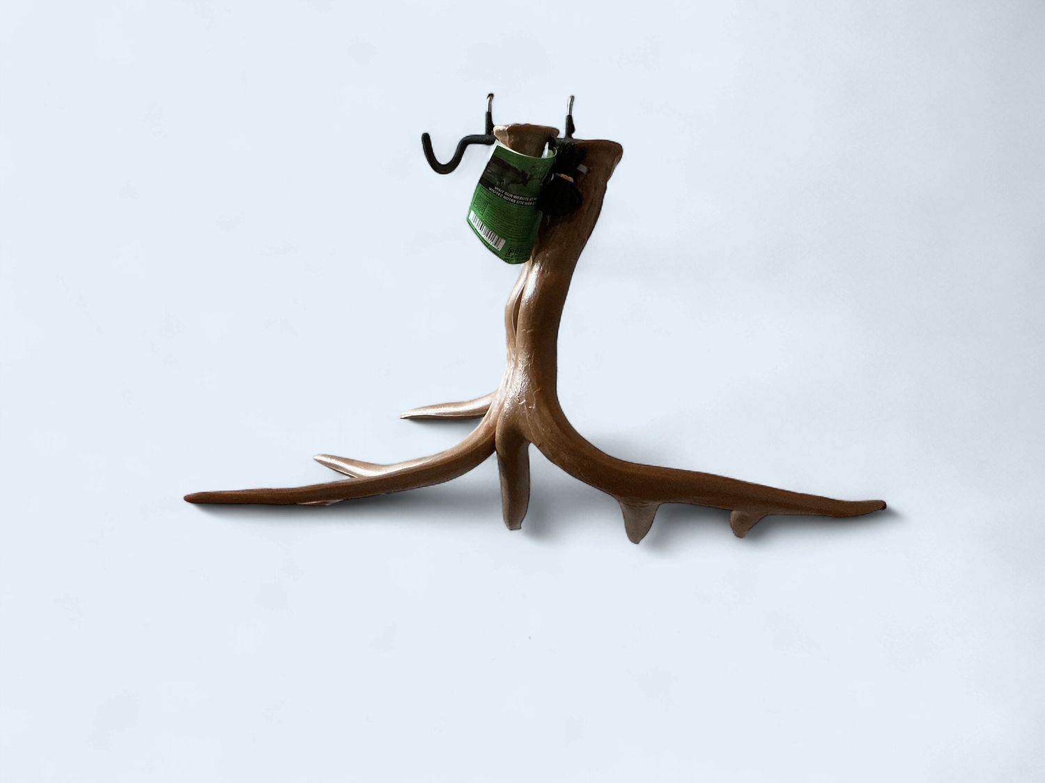 Fighting Horns