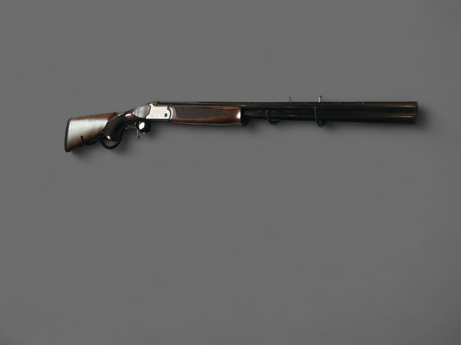 12 Gauge Over Under