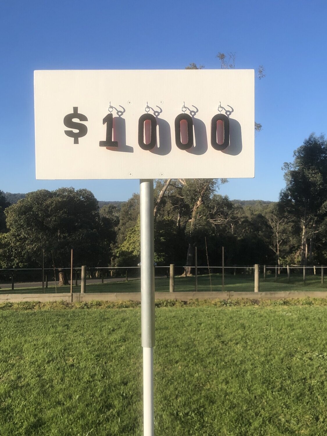 Bank Race set