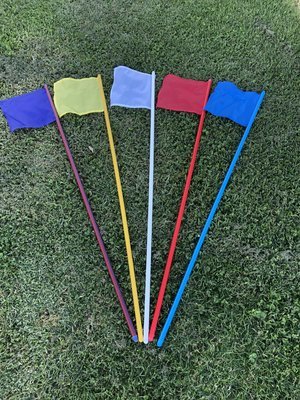 Flags set