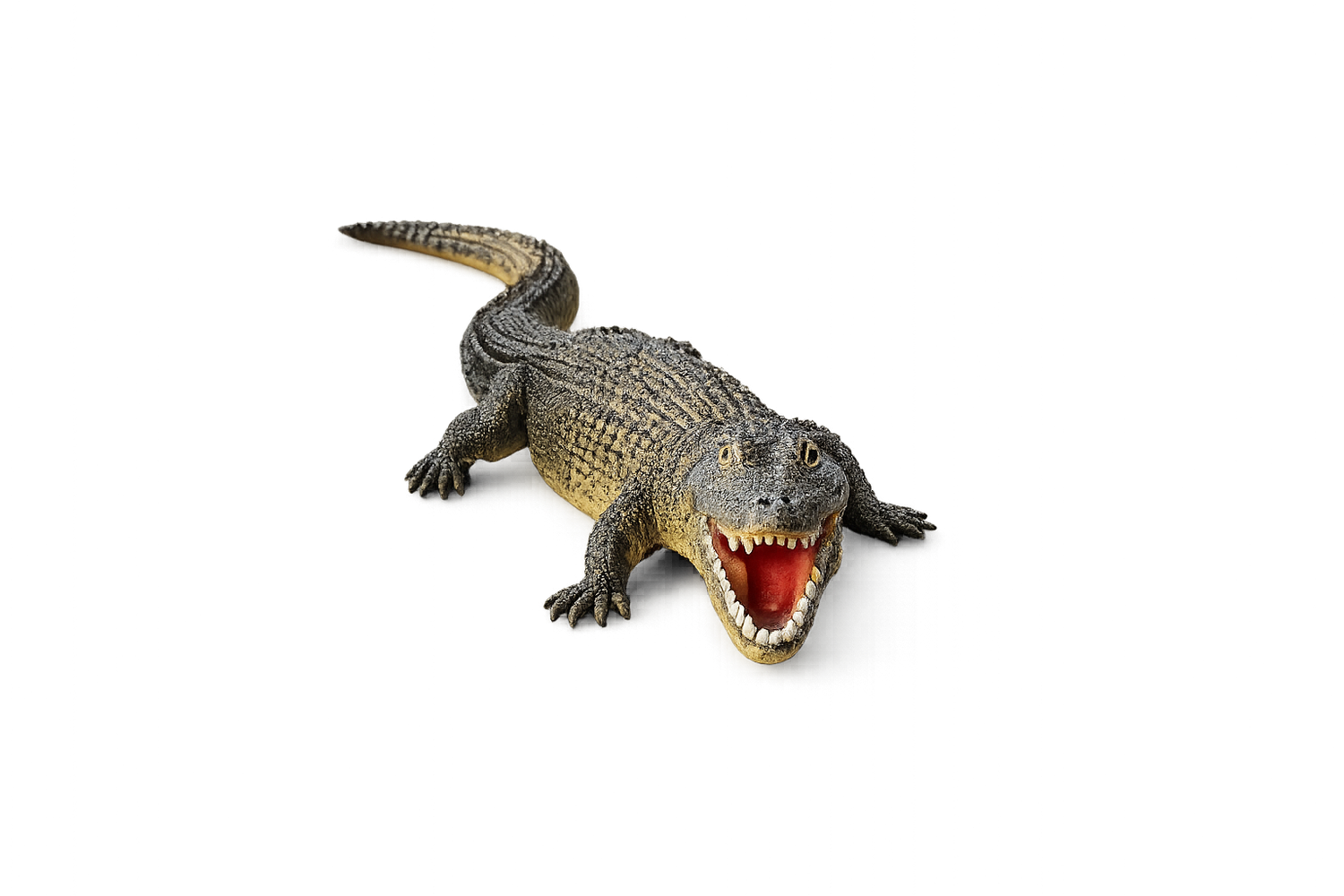 14" Squeaky Alligator