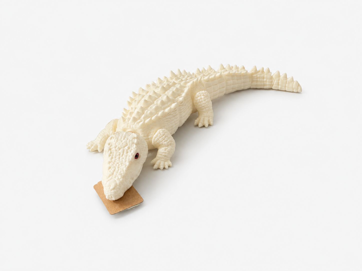 3D Albino LG Made in FL