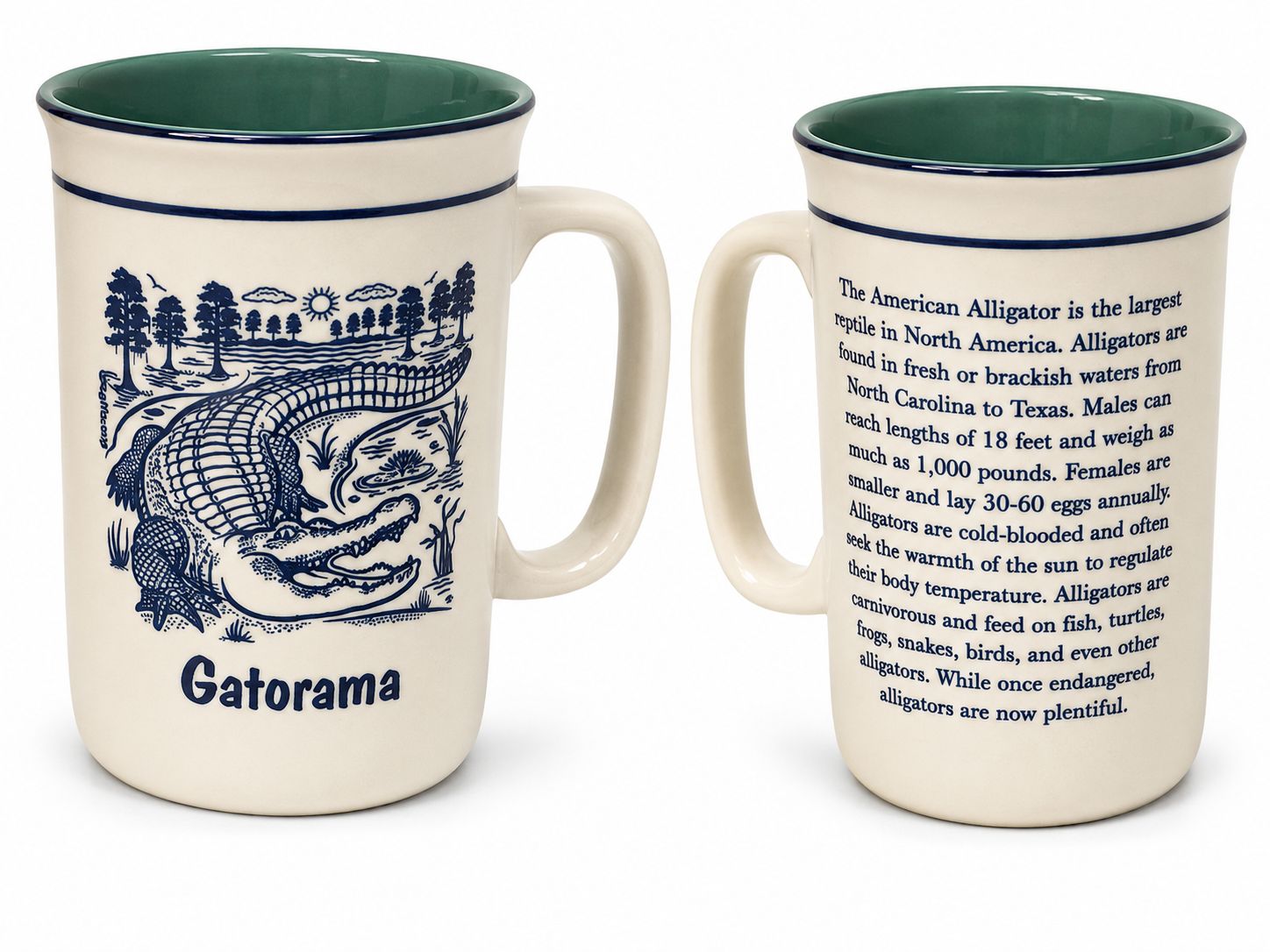 Alligator Facts Mug 16oz.