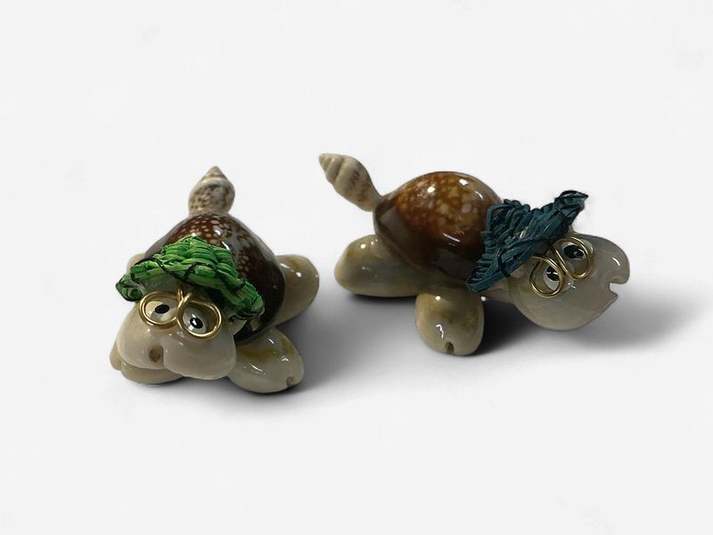 Shell Novelty