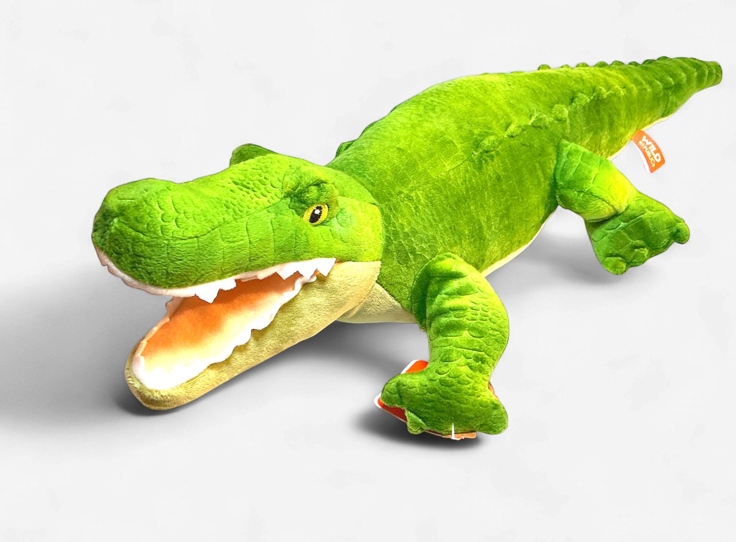 CK Eco Alligator