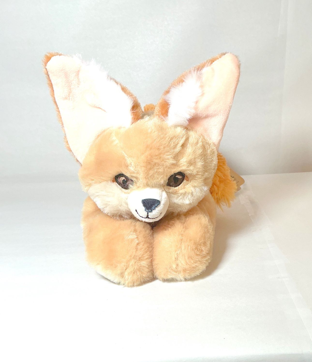 Fennec Fox- Earth Keeperz