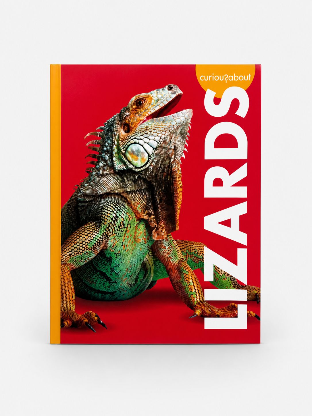 Curious about Lizards Book