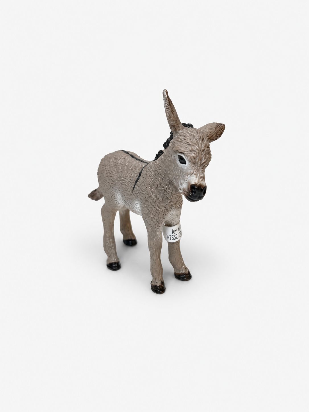 Donkey Foal