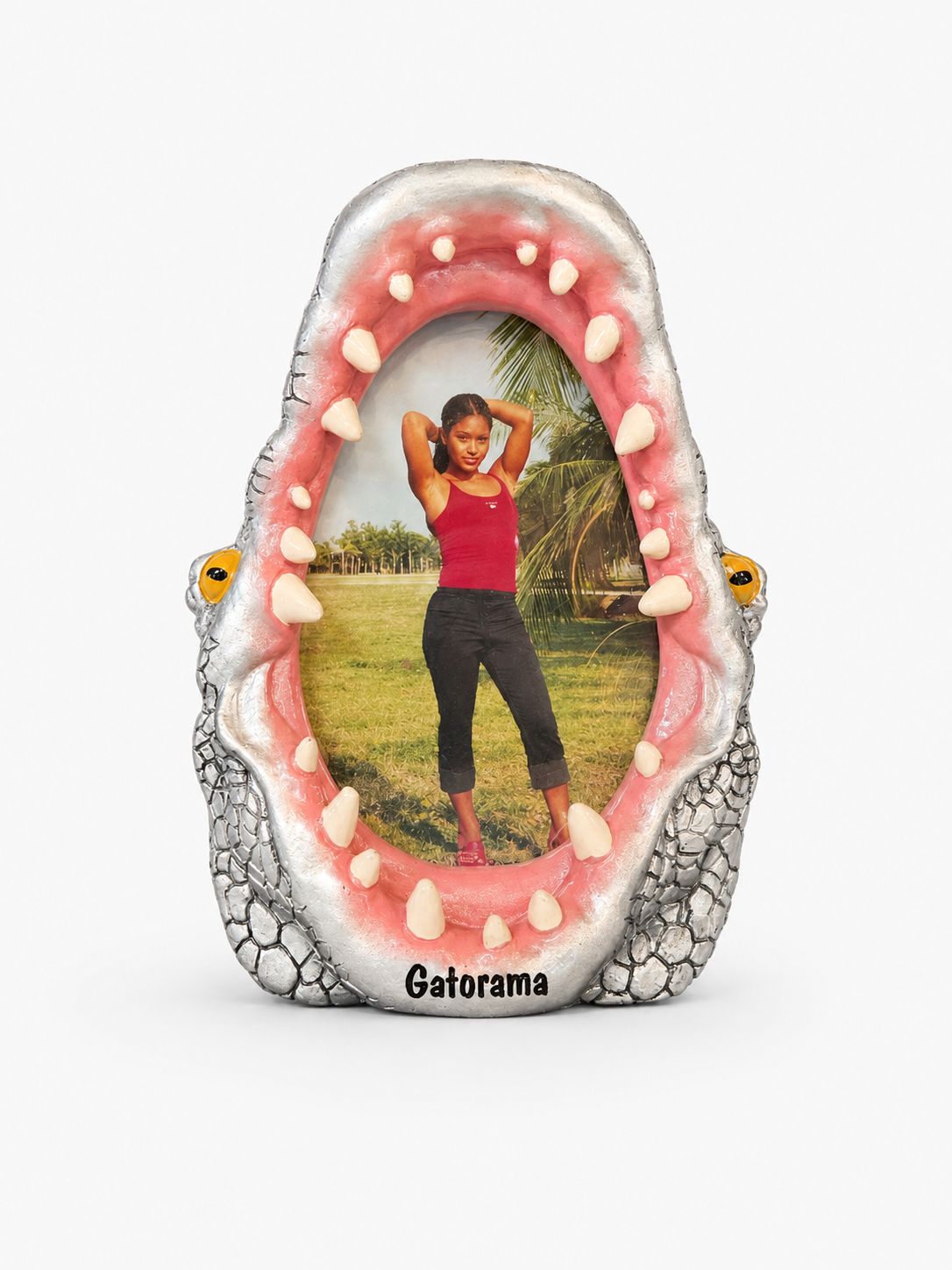 Gator Jaws Picture Frame