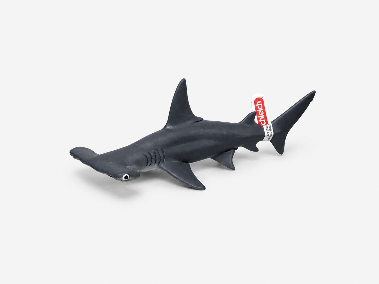 Hammerhead Shark