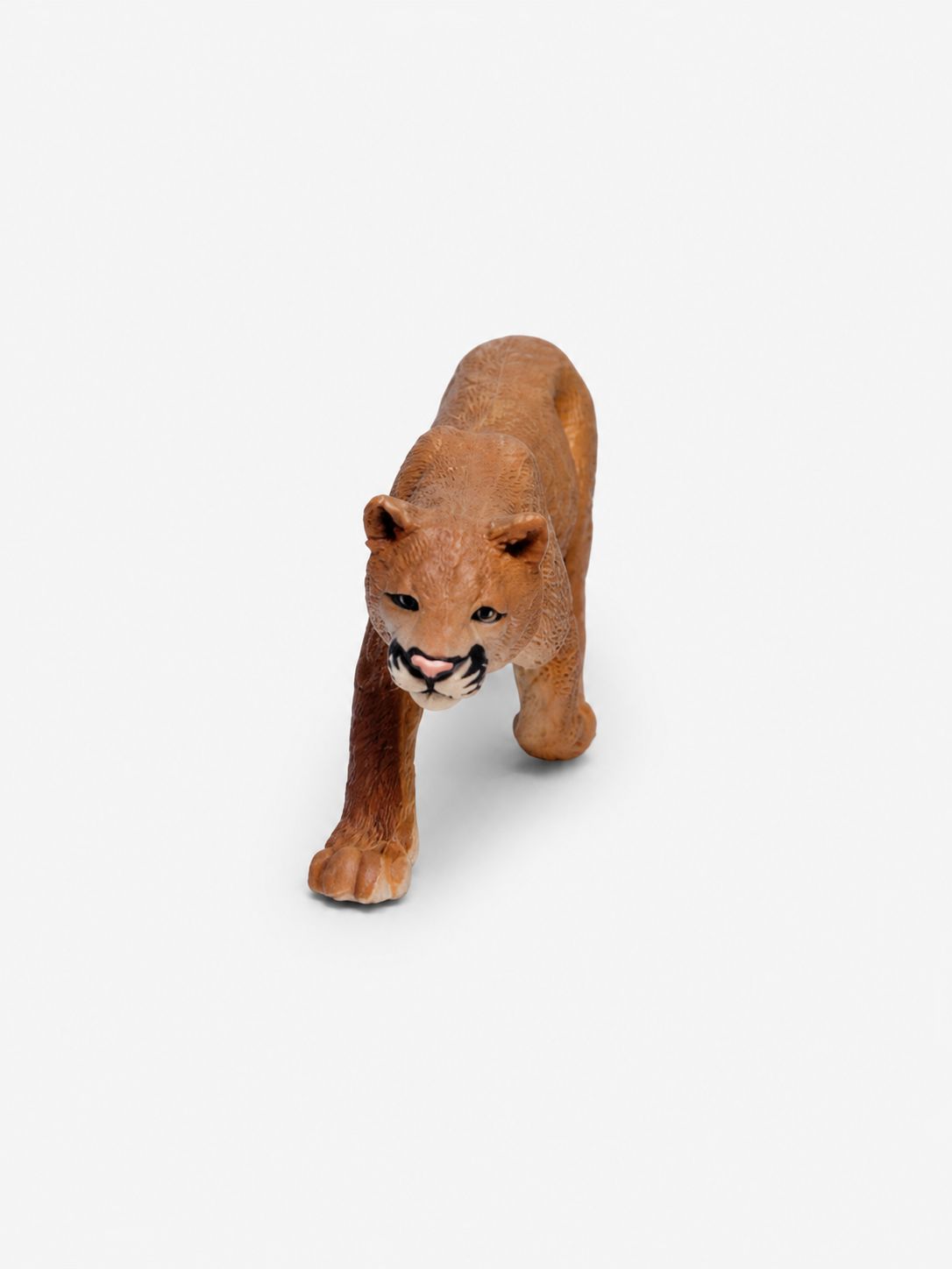 Mountain Lion