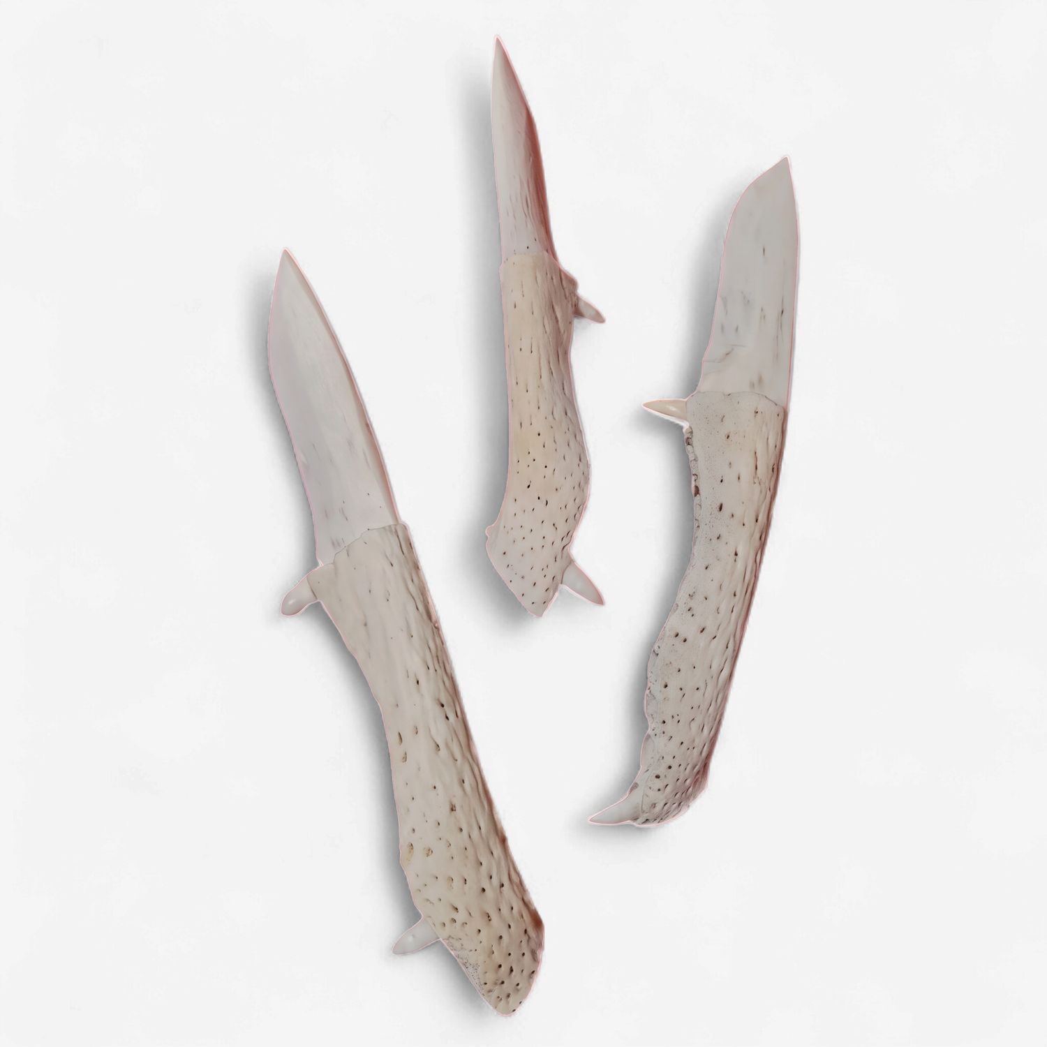 Jawbone Knife