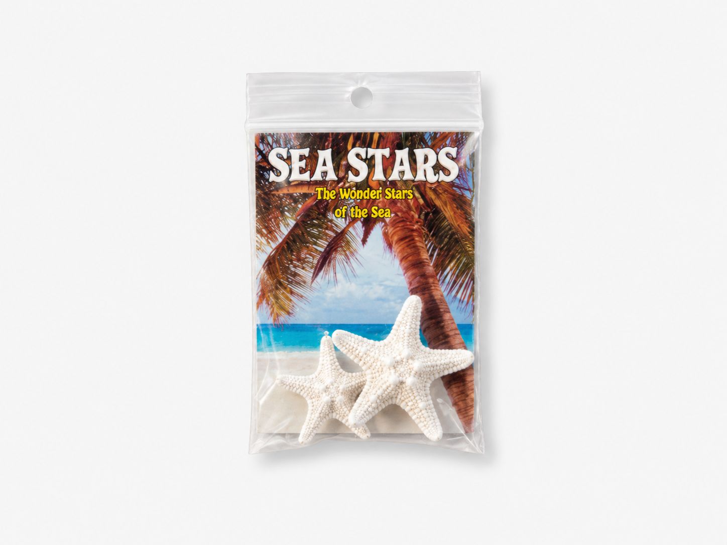 Sea Star