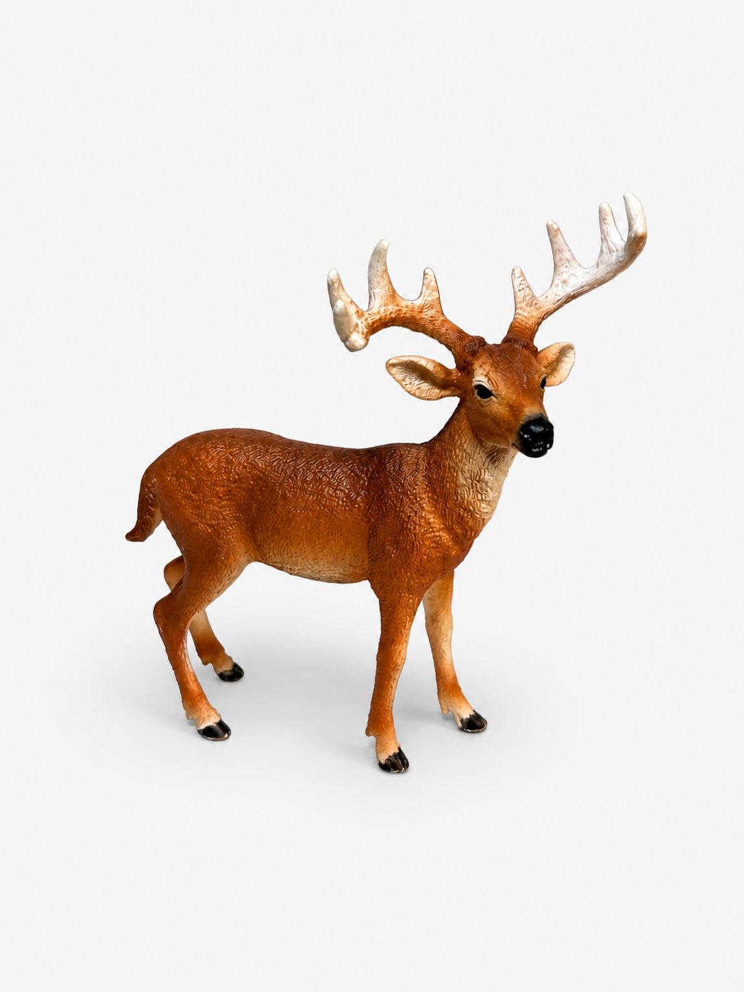 White-Tailed Buck