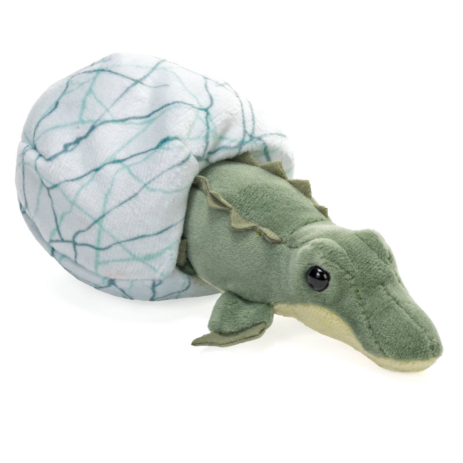 Hatchling Crocodile