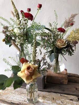 ECLECTIC BOTTLES