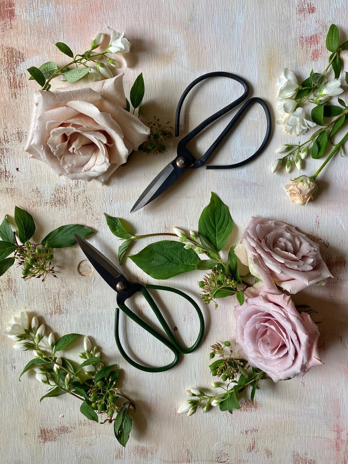 IKEBANA SHEARS - BLACK