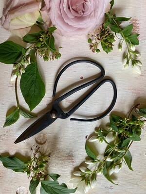 IKEBANA SHEARS - BLACK