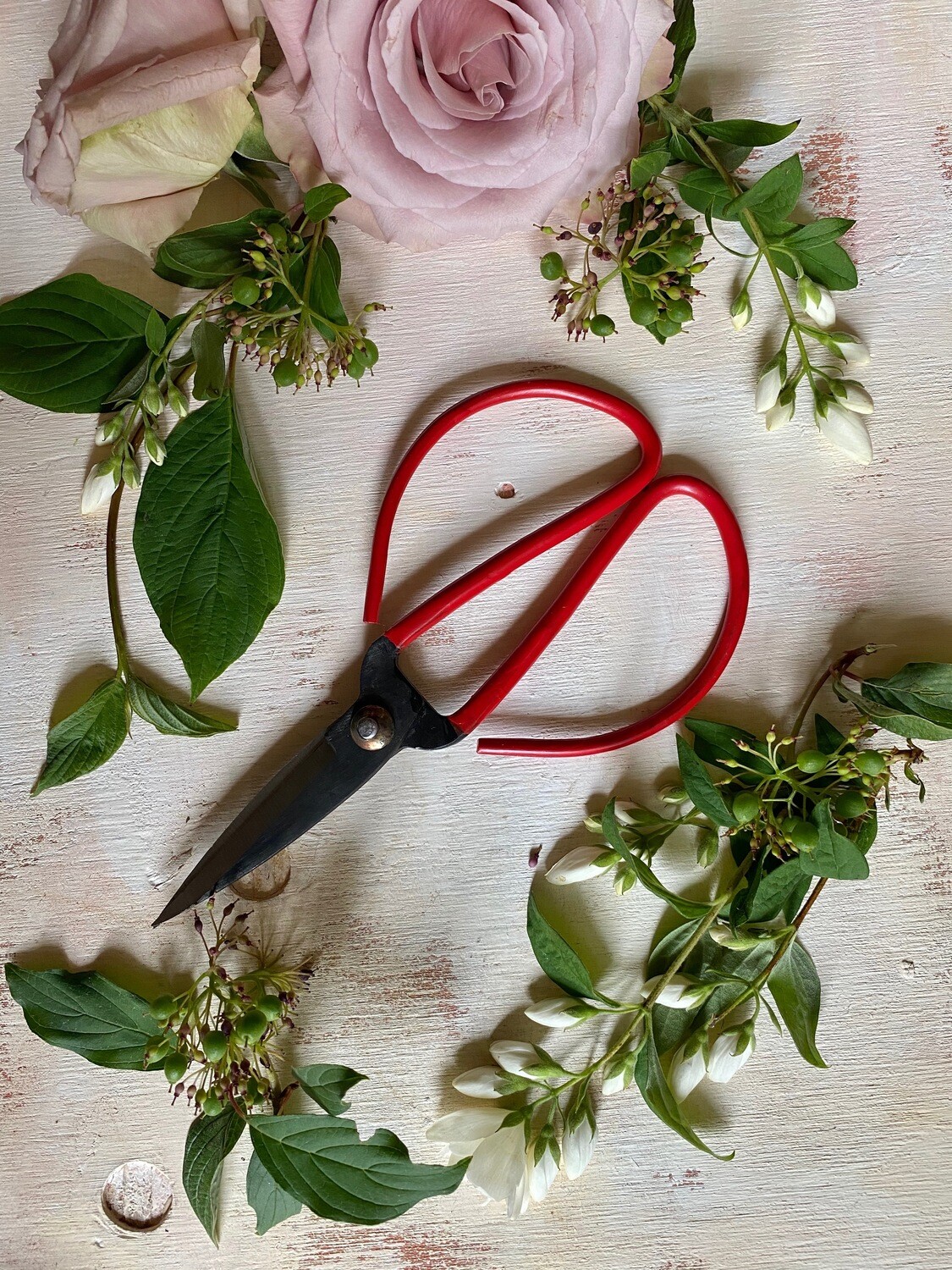 IKEBANA SHEARS - RED