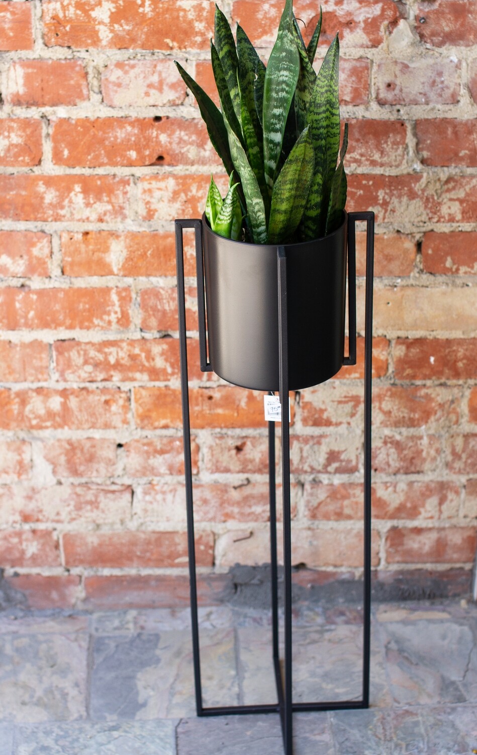 PHILO PLANT STAND