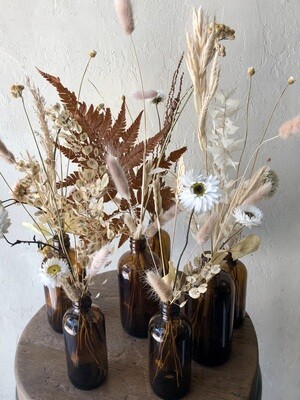 COLLECTION OF DRIED APOTHECARY BOTTLES