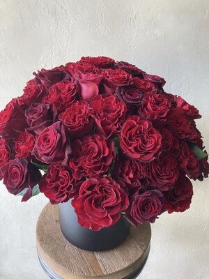 QUEEN OF HEARTS ROSES