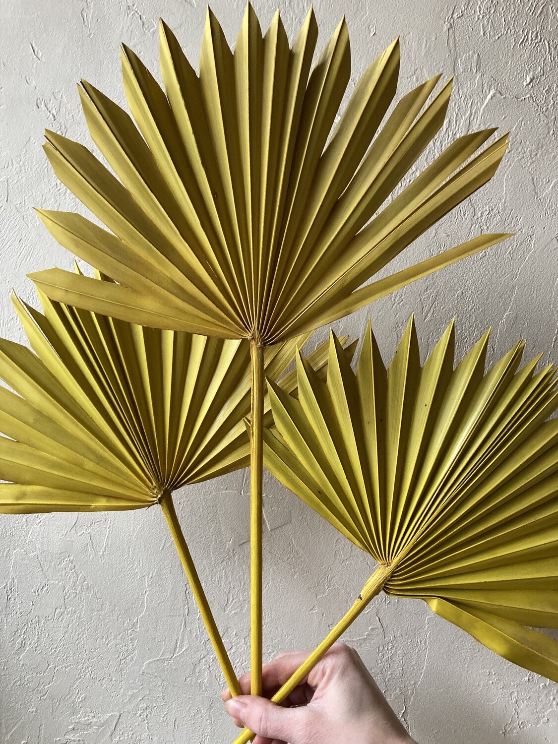 YELLOW PALM LEAF- SINGLE STEM
