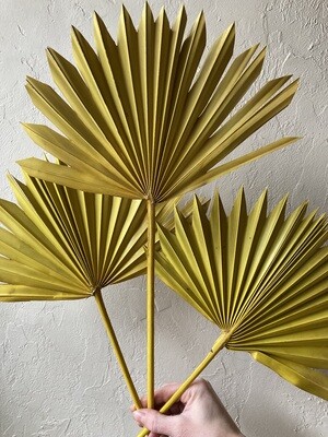 YELLOW PALM LEAF- SINGLE STEM
