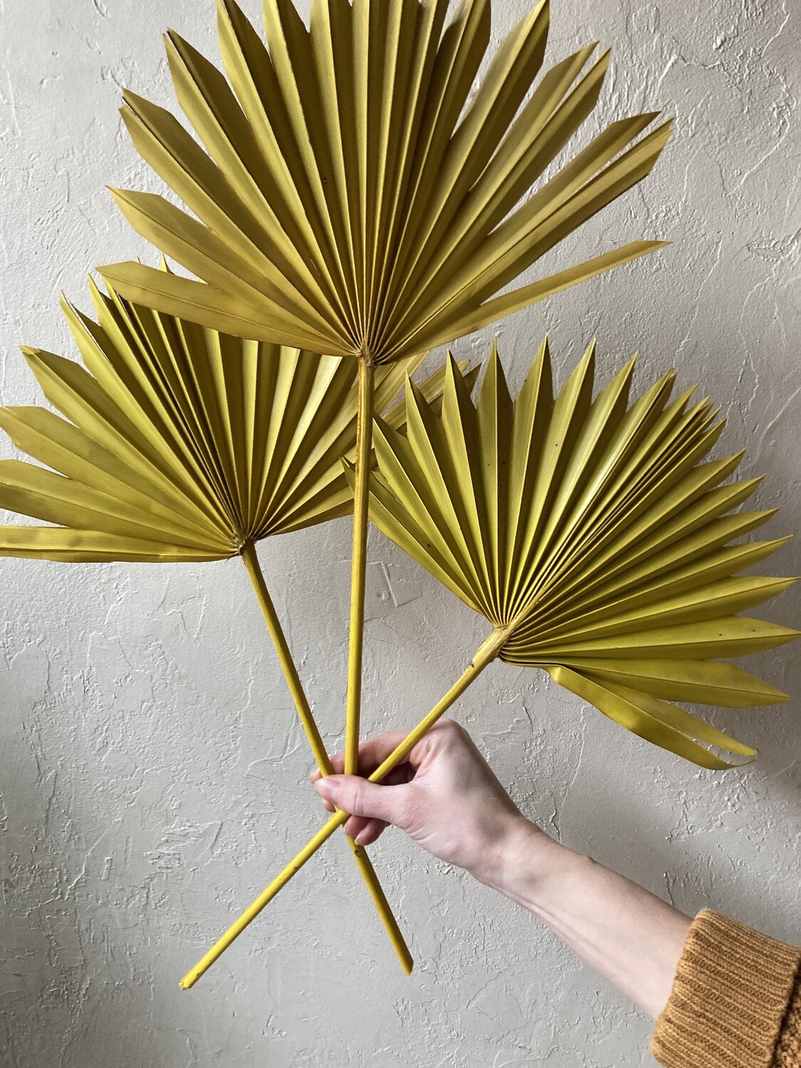 YELLOW PALM LEAF- SINGLE STEM