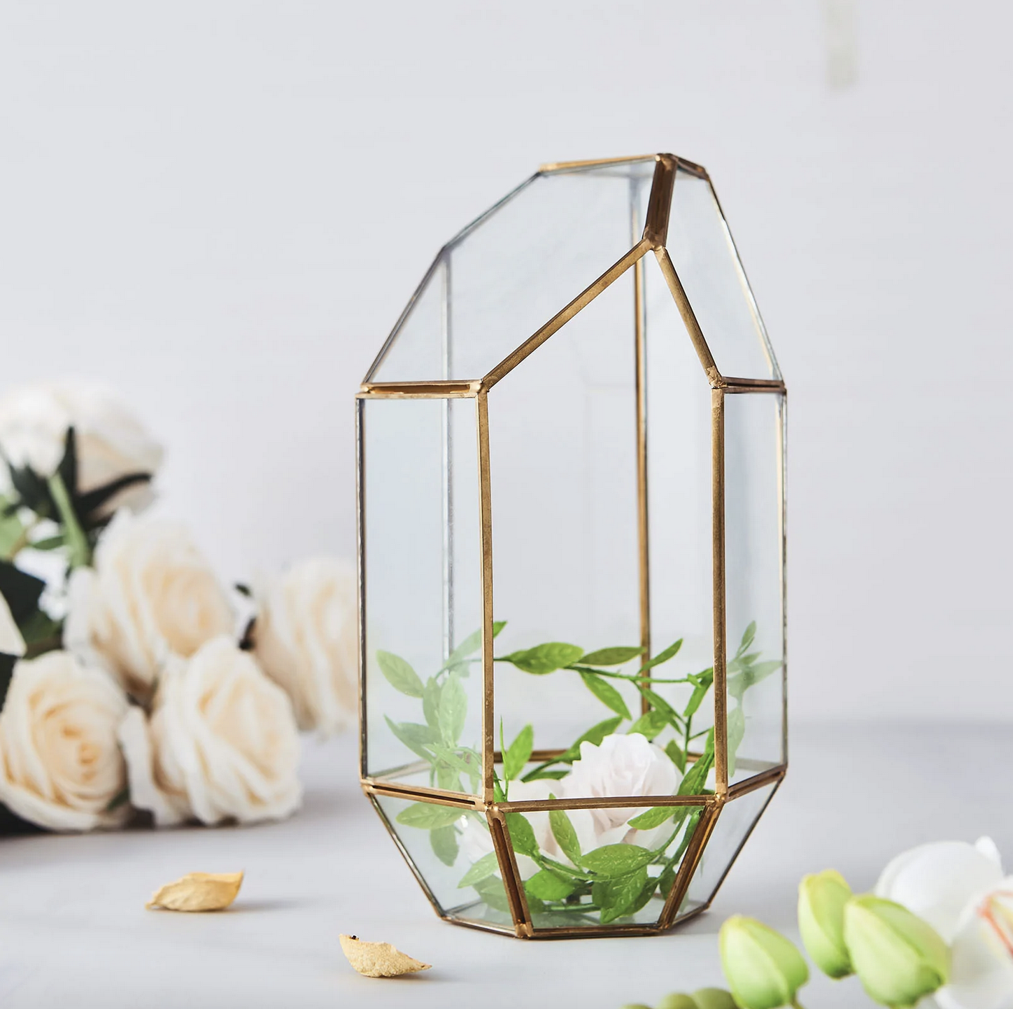 HEPTAGON PRISM TERRARIUM