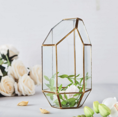 HEPTAGON PRISM TERRARIUM